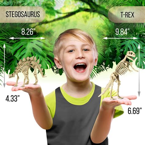 DIY Dinosaur Excavation Kit - Dino Fossil Kit - Dig Up Dinosaurs Bones of T Rex and Stegosaurus ...