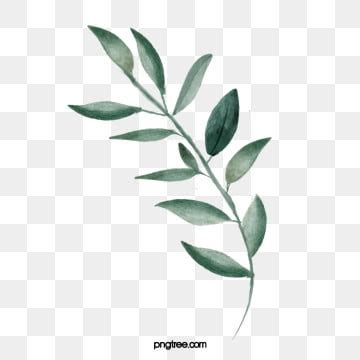 Watercolor Leaves PNG Transparent Images Free Download | Vector Files | Pngtree