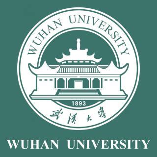 Wuhan University World University Rankings | THE