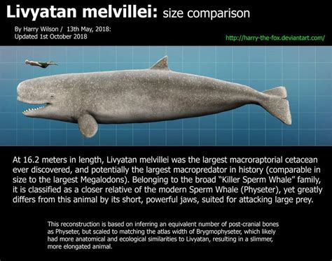 Things about megalodon and livyatan | Prehistoric Amino! Amino