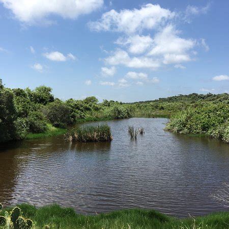 Aransas National Wildlife Refuge (Austwell) - 2018 All You Need to Know Before You Go (with ...