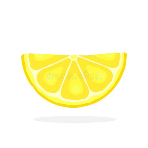 Half of lemon and slices stock vector. Illustration of draw - 21360596