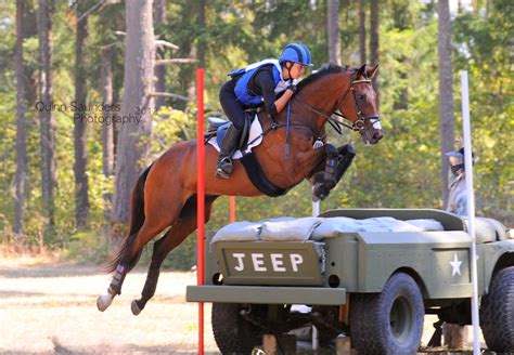 a person riding on the back of a brown horse jumping over an obstacle with trees in the background