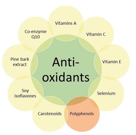 Polyphenols: Antioxidant Series, Part 6