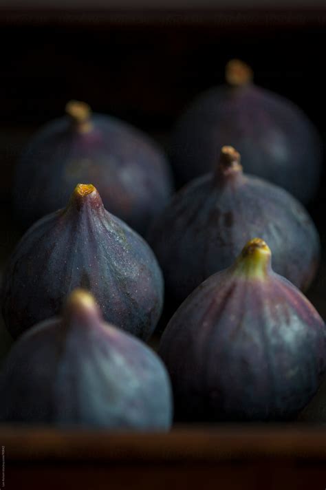 "Fresh Ripe Purple Figs Arranged For Baking" by Stocksy Contributor ...