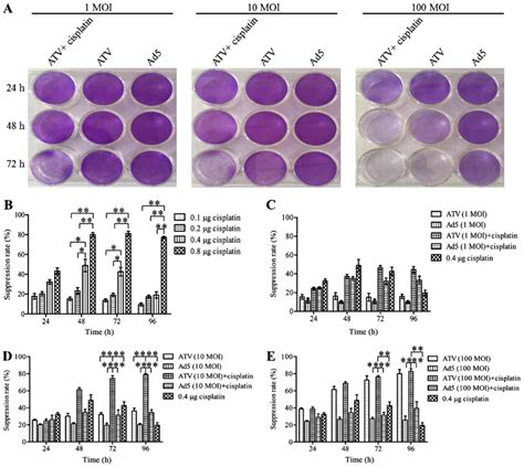 Synergistic antitumor effect of the combination of a dual cancer ...