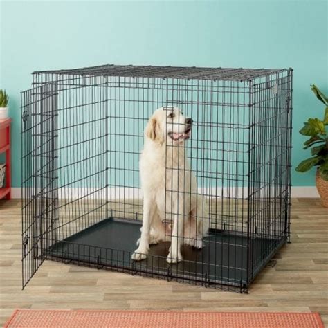 4 Best Dog Crates for Great Danes [2024 Reviews]: Cavernous Crates!