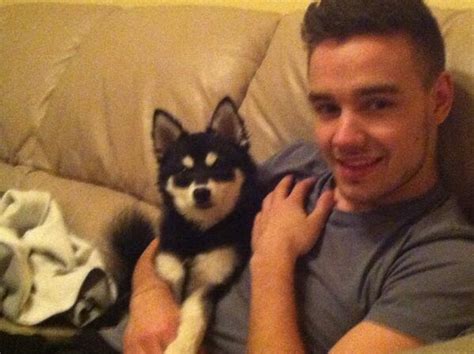 Liam and Loki - Liam Payne Photo (33997641) - Fanpop