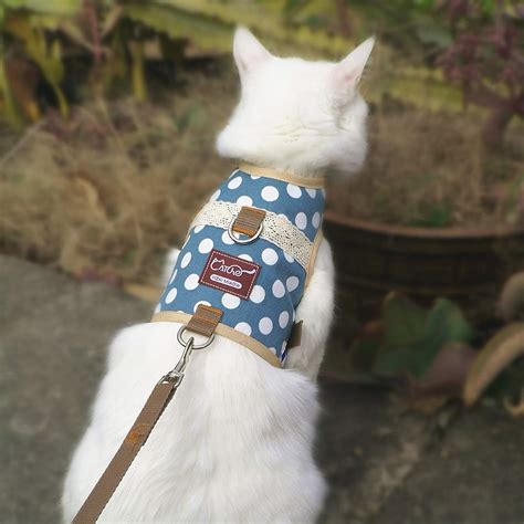 Best Cat Harness and Leash - No Escape Walking Harness