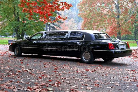 Wedding limousine stock image. Image of downtown, extended - 6983033