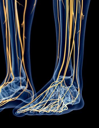 The Causes of Peripheral Nerve Damage in Your Feet — Fit Feet For Life