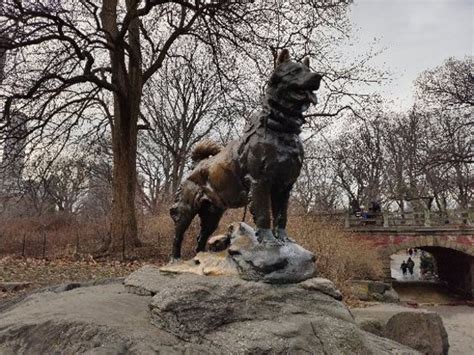 Balto Statue (New York City) - 2020 All You Need to Know BEFORE You Go (with Photos) - Tripadvisor