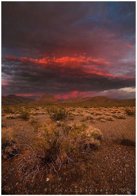 Mojave Desert,Nevada | Tramonti