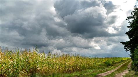 Forests, Fields and Meadows of Podlasie Stock Footage - Video of lapse, cloudy: 257580354