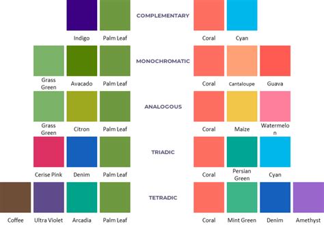 True Spring Colour Combination Examples Clear Spring, Bright Spring, Warm Spring, True Spring ...