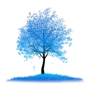 Blue Tree | Blue tree, Beautiful tree, Watercolor cards