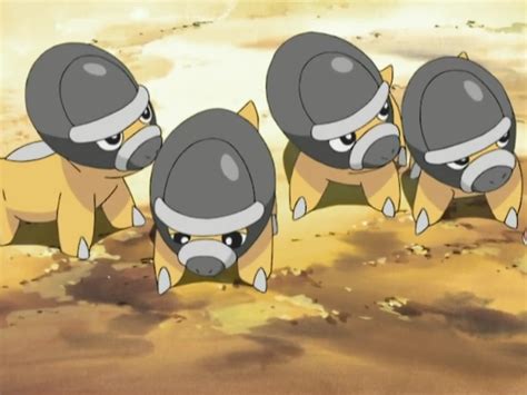 Shieldon (DP045) | Pokémon Wiki | Fandom