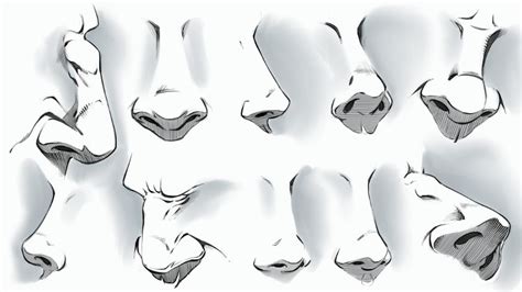 Comic Style Noses - Various Angles by robertmarzullo on DeviantArt ...