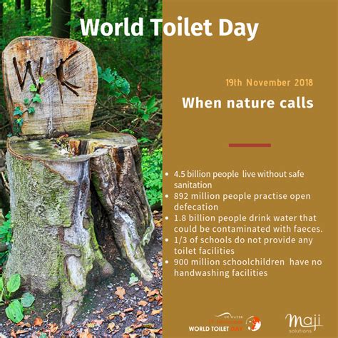 World toilet day - Maji solutions