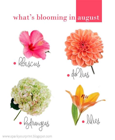 {colors} august flowers | August wedding flowers, August flowers, Diy wedding flowers