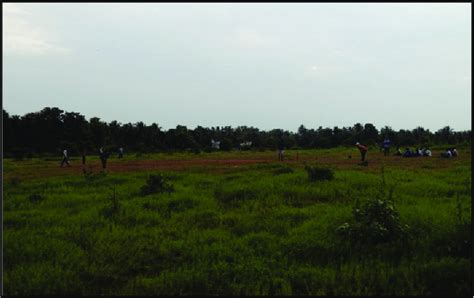 8: Lapwing Habitat as Playground. | Download Scientific Diagram