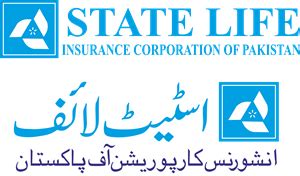 State Life Insurance Policy In Urdu - wholesalerhinomountsa31969