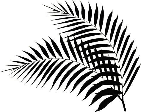 Related image Leaf Stencil, Stencil Painting, Wall Painting, Stencils, Black And White Leaves ...