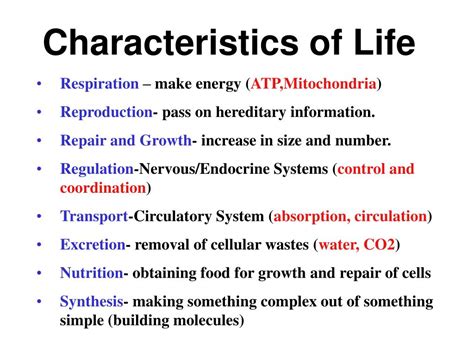 PPT - Characteristics of Life PowerPoint Presentation - ID:547952