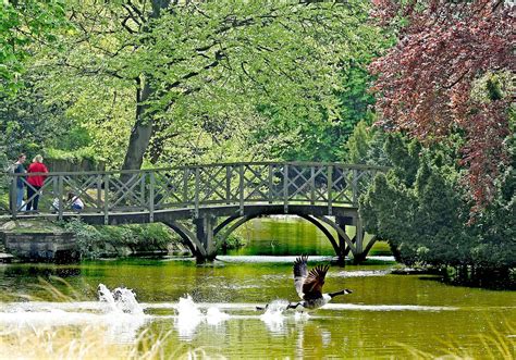 Birkenhead Park in pictures - Liverpool Echo