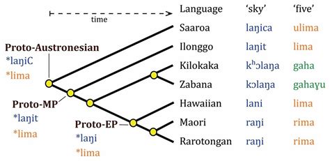 Austronesian Language Tree | Language tree, Language, Maori