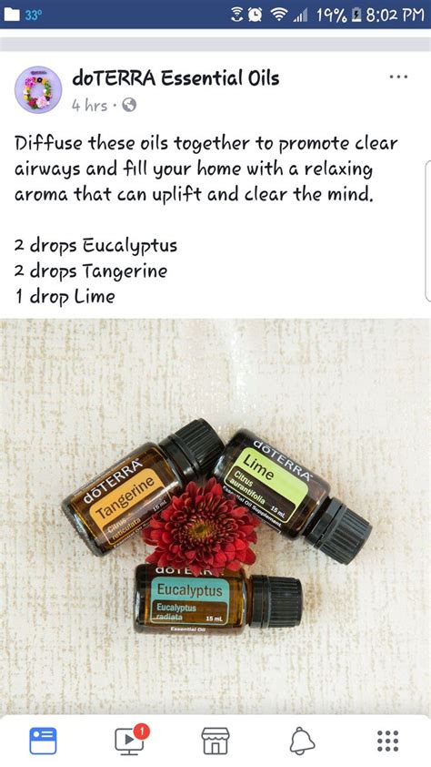 Pin on Essential Oils | Doterra essential oils recipes, Essential oils ...