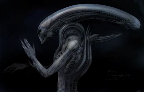 Jockey-Xenomorph | Xenomorph Species Wiki | FANDOM powered by Wikia