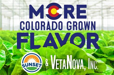 SUNSET® Produce To Be Grown In Colorado Solar Powered Greenhouse ...