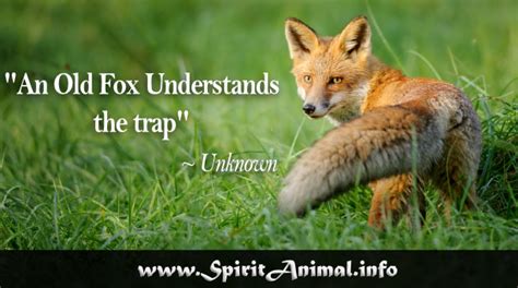 Fox Quotes - Spirit Animal Info