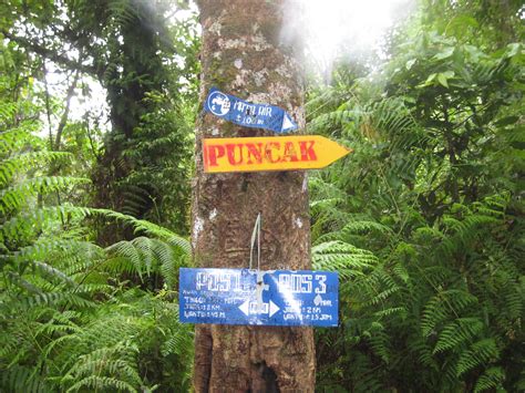 Hiking Gunung Tambora: Celebrating 200 Years Since the Eruption that ...