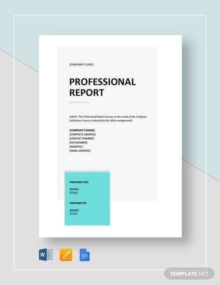 FREE 22+ Sample Professional Report Templates in PDF | MS Word