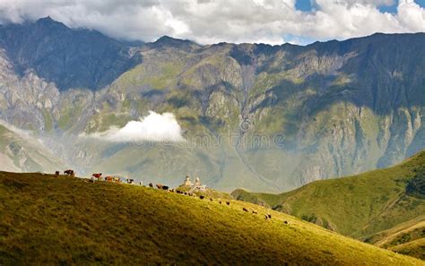 Caucasus Mountains, Georgia Stock Image - Image of meadow, flowers: 57081891