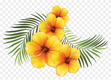 Yellow Hibiscus Flower Vector Royalty Free Download - Tropical Flowers ...