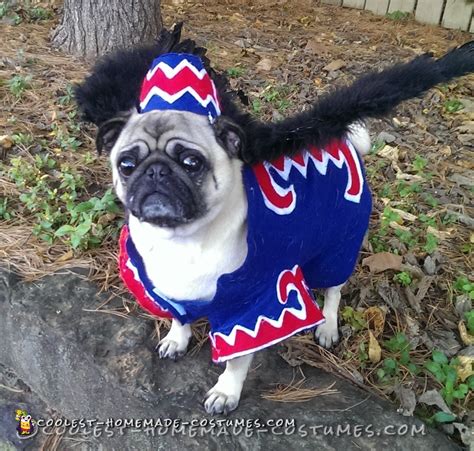 Coolest Flying Monkey Dog Costume