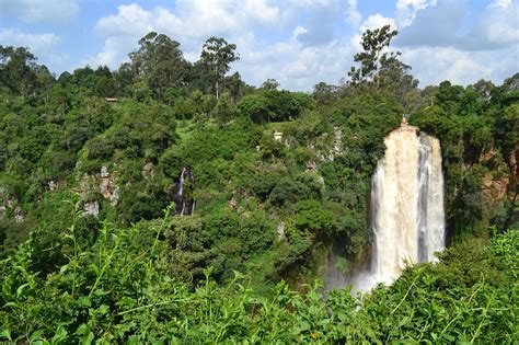 Can the Blockchain Help to Preserve Kenya's Forests?