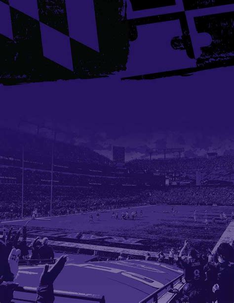 2023-24 Ravens Season Ticket Renewal Guide by Baltimore Ravens - Issuu