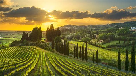 Italian Wine Regions | Italian Wine Types | Virgin Wines