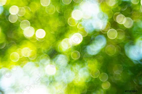 Green bokeh background from nature forest - stock photo 1182060 ...