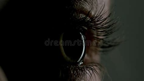 Close-up Beautiful Blue Eye Stock Image - Image of face, human: 135383291