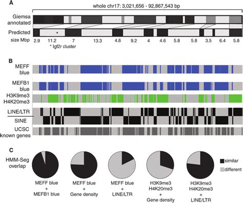 Chromosome band features analyzed by hidden Markov modeling with... | Download Scientific Diagram