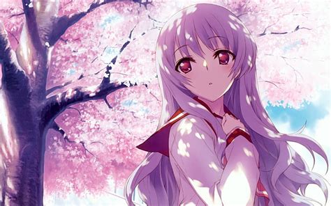 Anime, Girl, Cherry Blossom, HD wallpaper | Wallpaperbetter