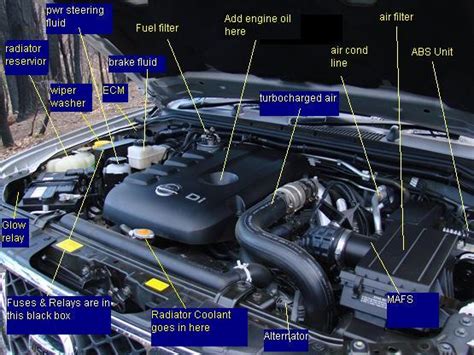 Engine bay diagram please. | Nissan Navara Truck Forum