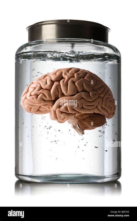 Brain in jar hi-res stock photography and images - Alamy