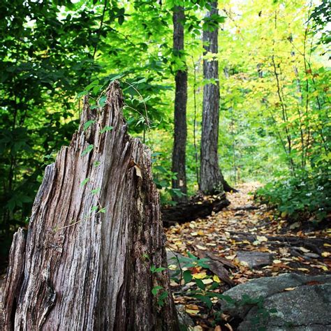 Get Outside Connecticut on Instagram: “Page Park in Bristol, CT. This park is beautiful in the ...