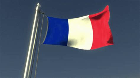 France Flag GIF - France Flag Flag Waver - Discover & Share GIFs